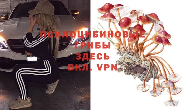 mdpv Вязьма