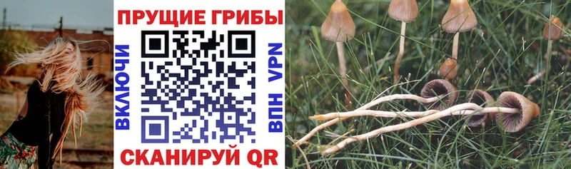 Галлюциногенные грибы ЛСД  дарнет шоп  hydra   Ува 